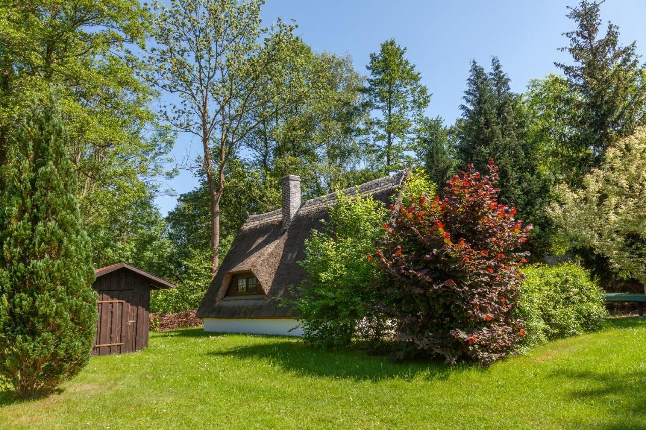 Ferienhaus Auf Der Kauperinsel Burg  Exterior foto